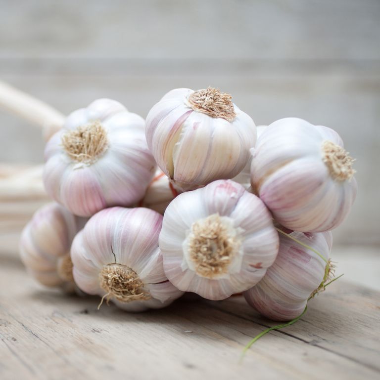 how much money can i make selling 10 garlic bunches